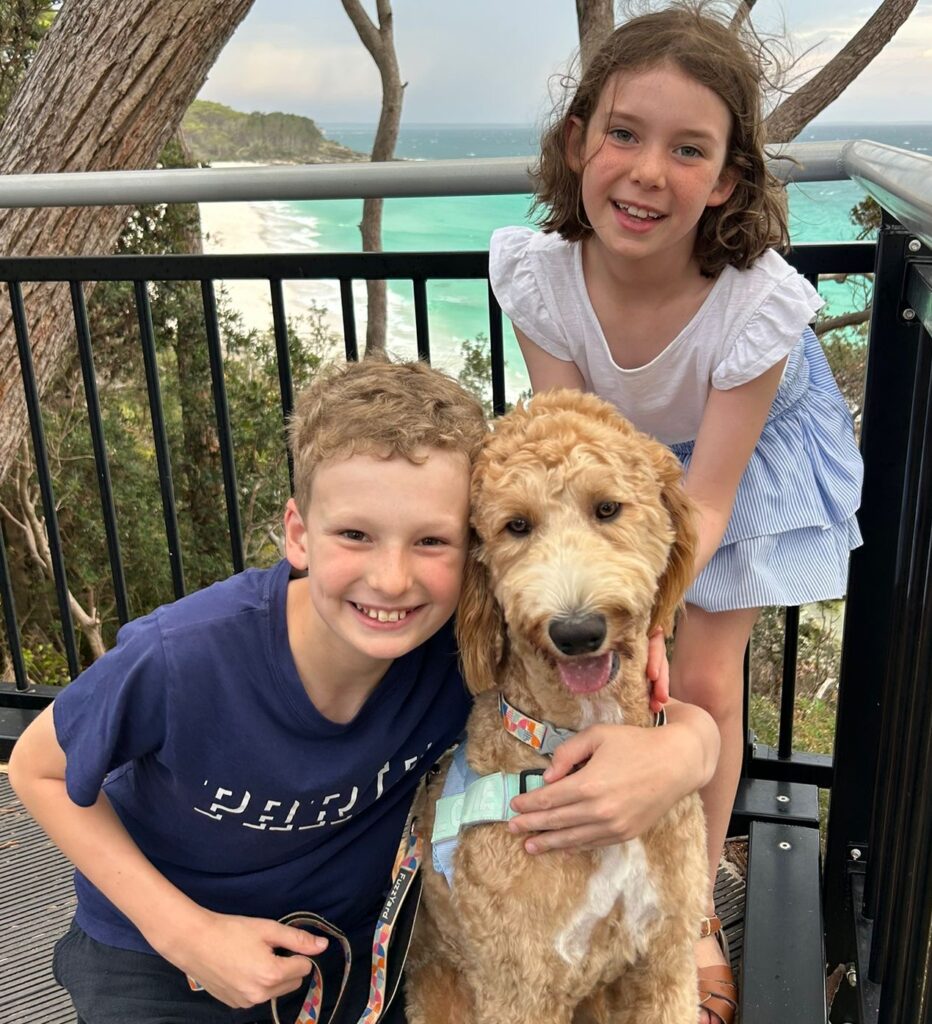 Groodle breeder in Australia at Fairview Park Guardian Program